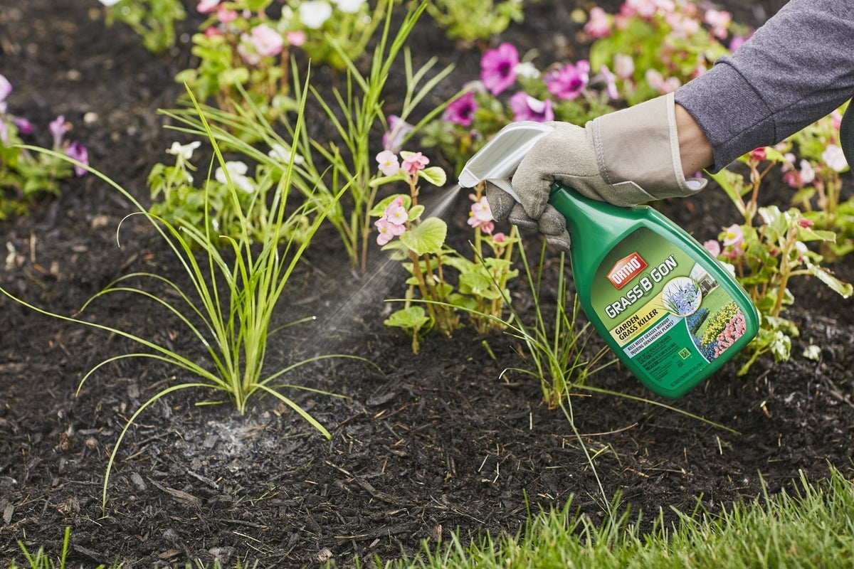Ortho Grass B Gon label-close visual communicates safe-use around landscape plants