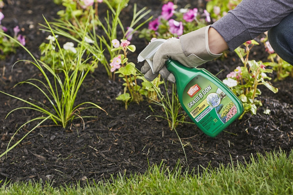 Ortho Grass B Gon 2-pack shown for multiple lawn applications