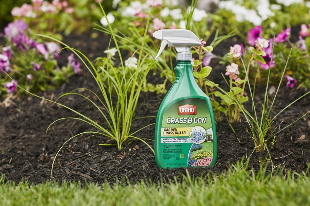 Ortho Grass B Gon spray demonstrates convenient ready-to-use application