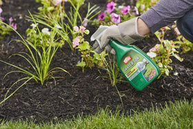Close-up view of Ortho Grass B Gon sprayer applying to weeds.