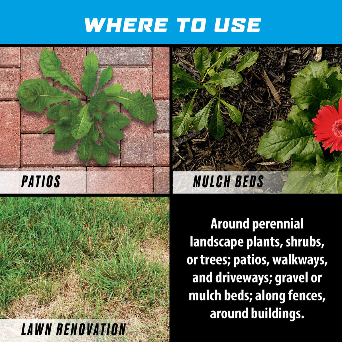 Calm weather application yields effective results with Ortho GroundClear.