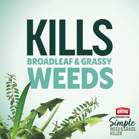 Ortho GroundClear used in vegetable gardens for weed control near crops.