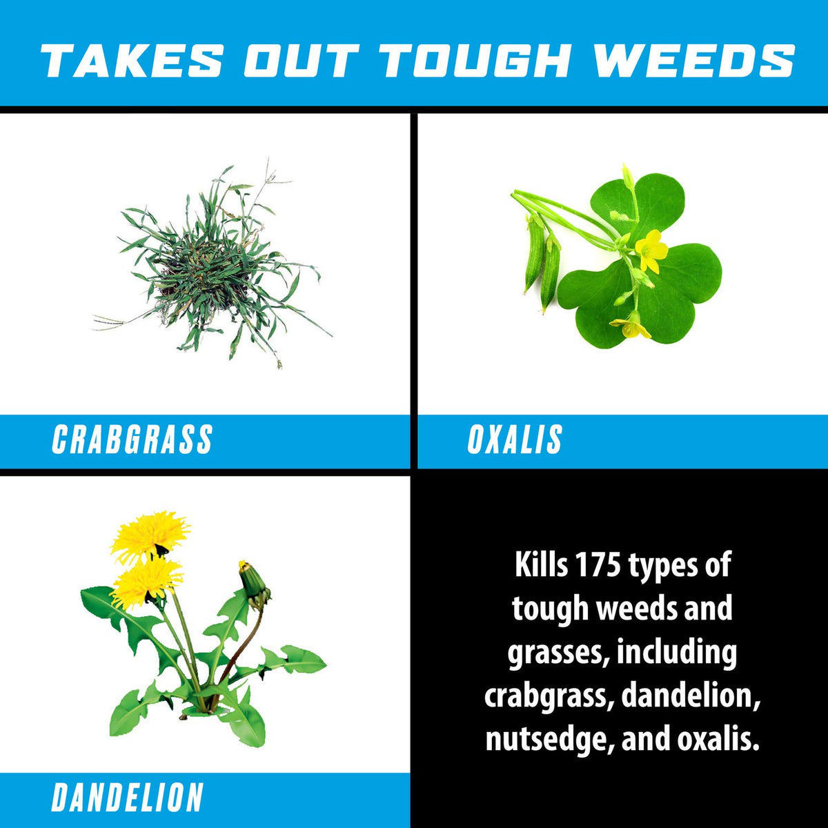 Ortho GroundClear used on patios and driveways for clean, lasting weed control