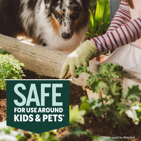 Ortho GroundClear Simple Weed Killer bottle shows ready-to-use formula for outdoor spaces.