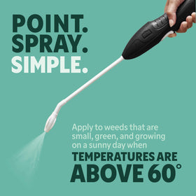 Ortho GroundClear Simple Weed Killer for driveways and walkways cleanup.