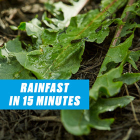 Fast-acting formula reduces weed vigor at the root level.