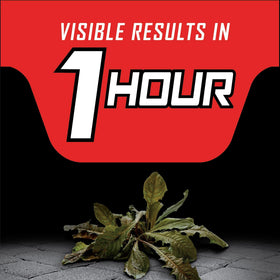 Ortho GroundClear Year Long Vegetation Killer2 on driveways and sidewalks keeps surfaces clear