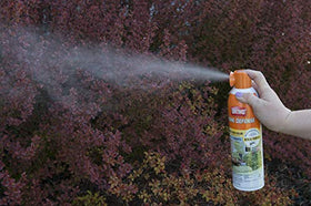 Ortho Home Defense protects your lawn by reducing outdoor pest activity.