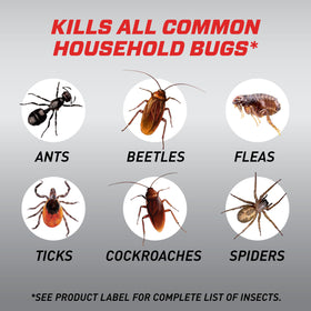 Ortho Home Defense Max fast-drying formula for fast indoor results.