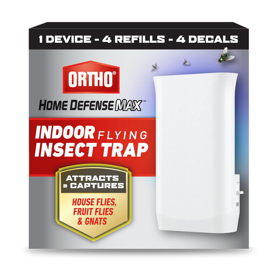 Ortho Home Defense Max outlet trap with blue light attracts and captures indoor gnats.