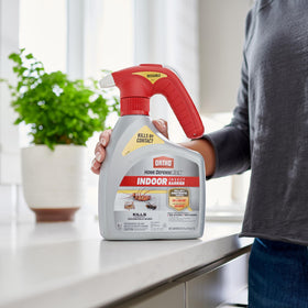 Ortho Home Defense Max ready-to-use bottle for quick pest control.