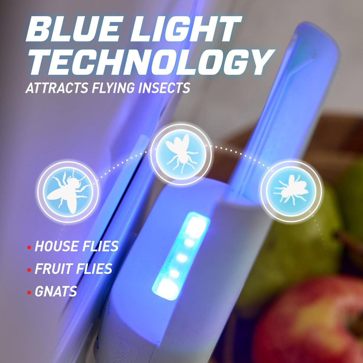 Ortho indoor fly trap refill glue cartridge captures gnats, fruit flies, and house flies inside the home.