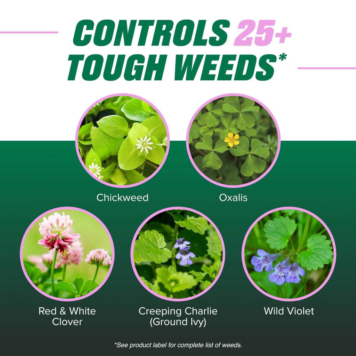 Ortho Chickweed, Clover & Oxalis Killer for Lawns kills weeds to the root.