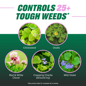Ortho Chickweed, Clover & Oxalis Killer for Lawns kills weeds to the root.