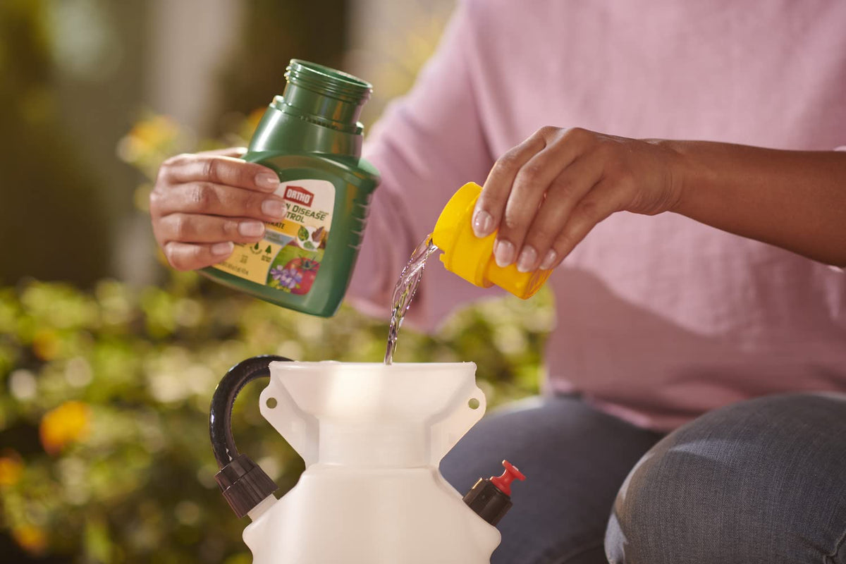 Flowers and shrubs shown benefiting from Ortho MAX disease control.