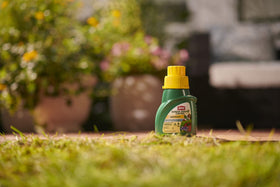 Ortho MAX applied on fruits to protect against blights and mold.
