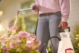 Ortho Guarantee badge indicating trusted outdoor pest control.