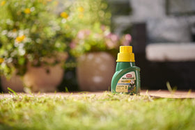 Roses and ornamentals protected with Ortho MAX Malathion.