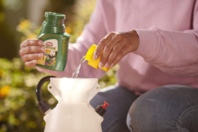 Spraying mist from Ortho MAX Malathion demonstrates even coverage.