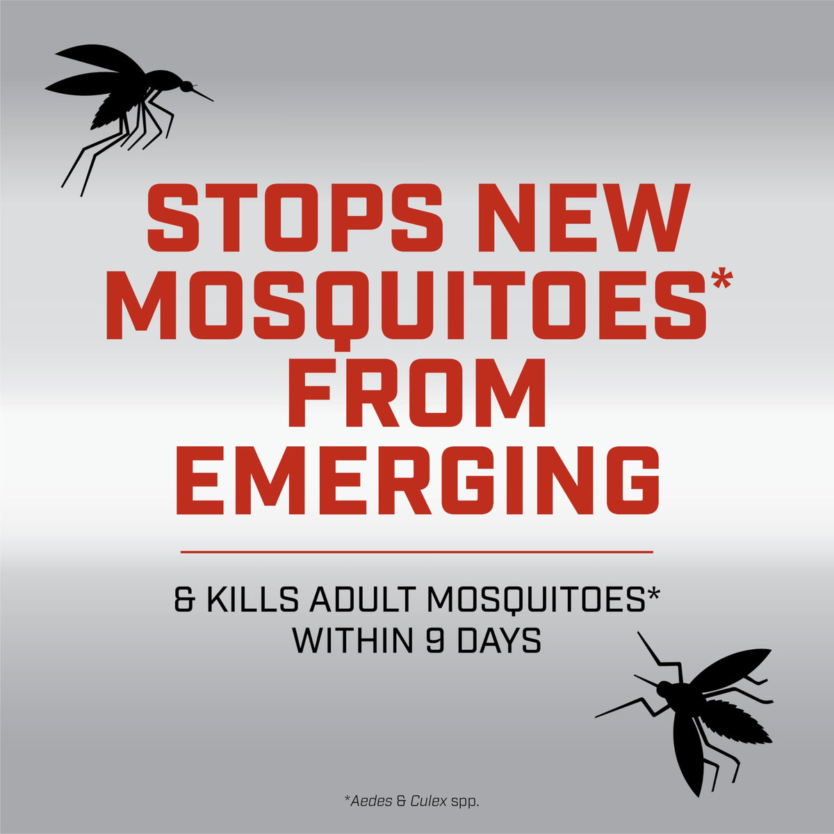 Ortho mosquito-breeding-site lure in action draws adults away from guests