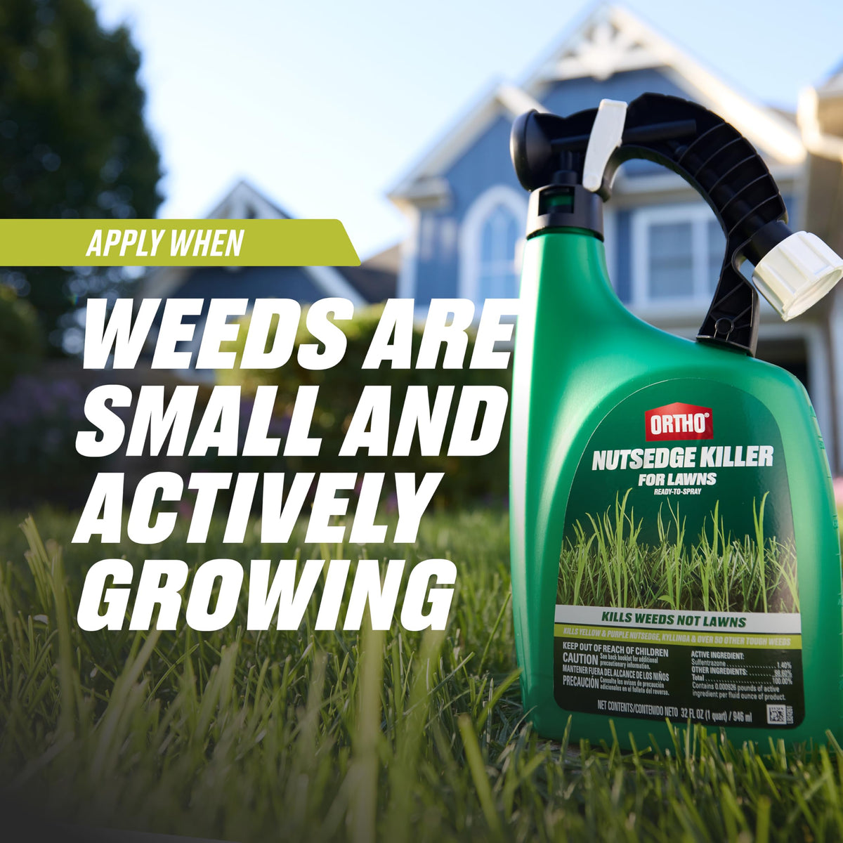 Lawn illustration showing 5,000 sq ft coverage with Ortho Nutsedge Killer.
