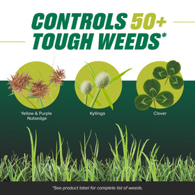 Dandelion and purslane broadleaf weeds treated by Ortho solution on lawn.