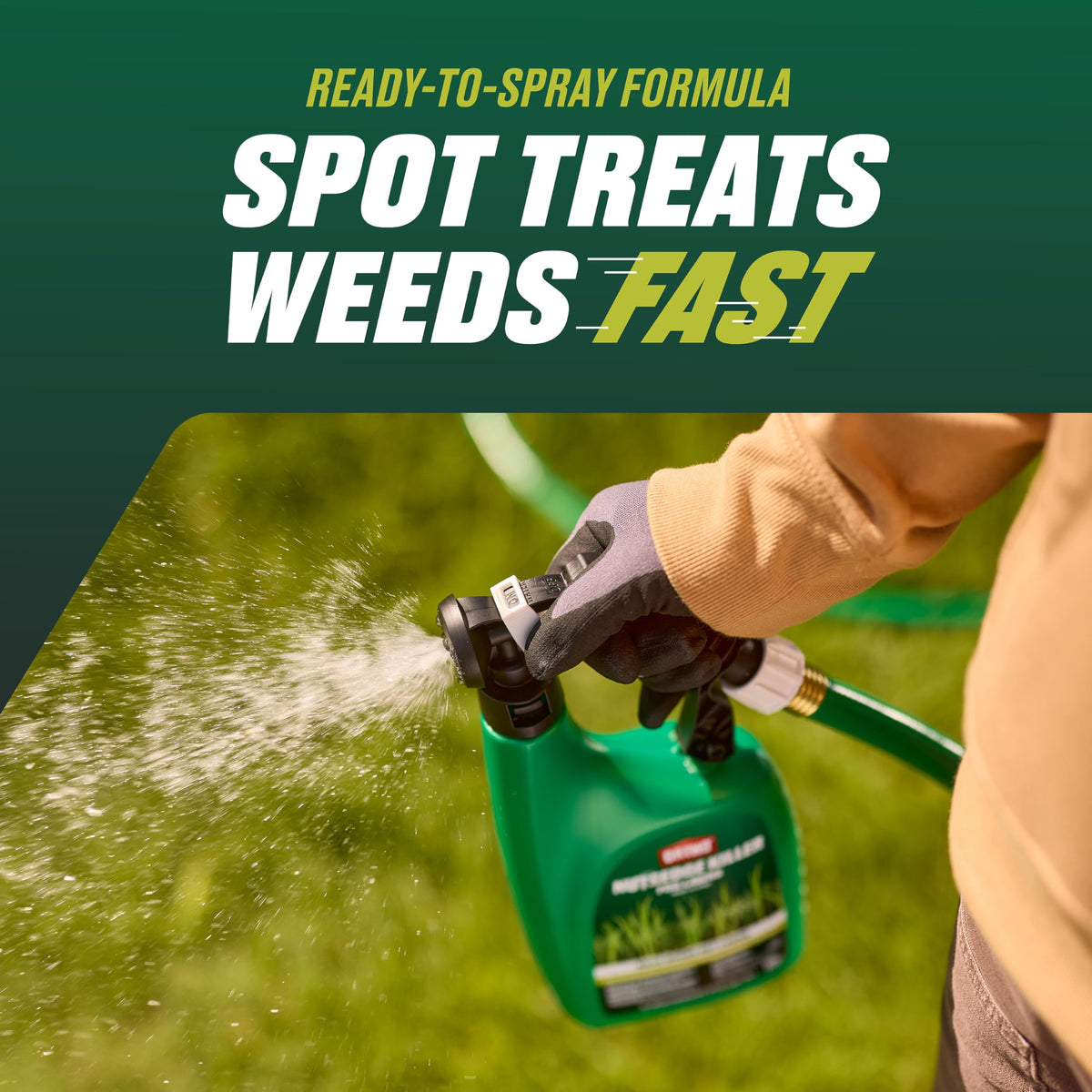 Close-up of nutsedge weed targeted by the Ortho formula.