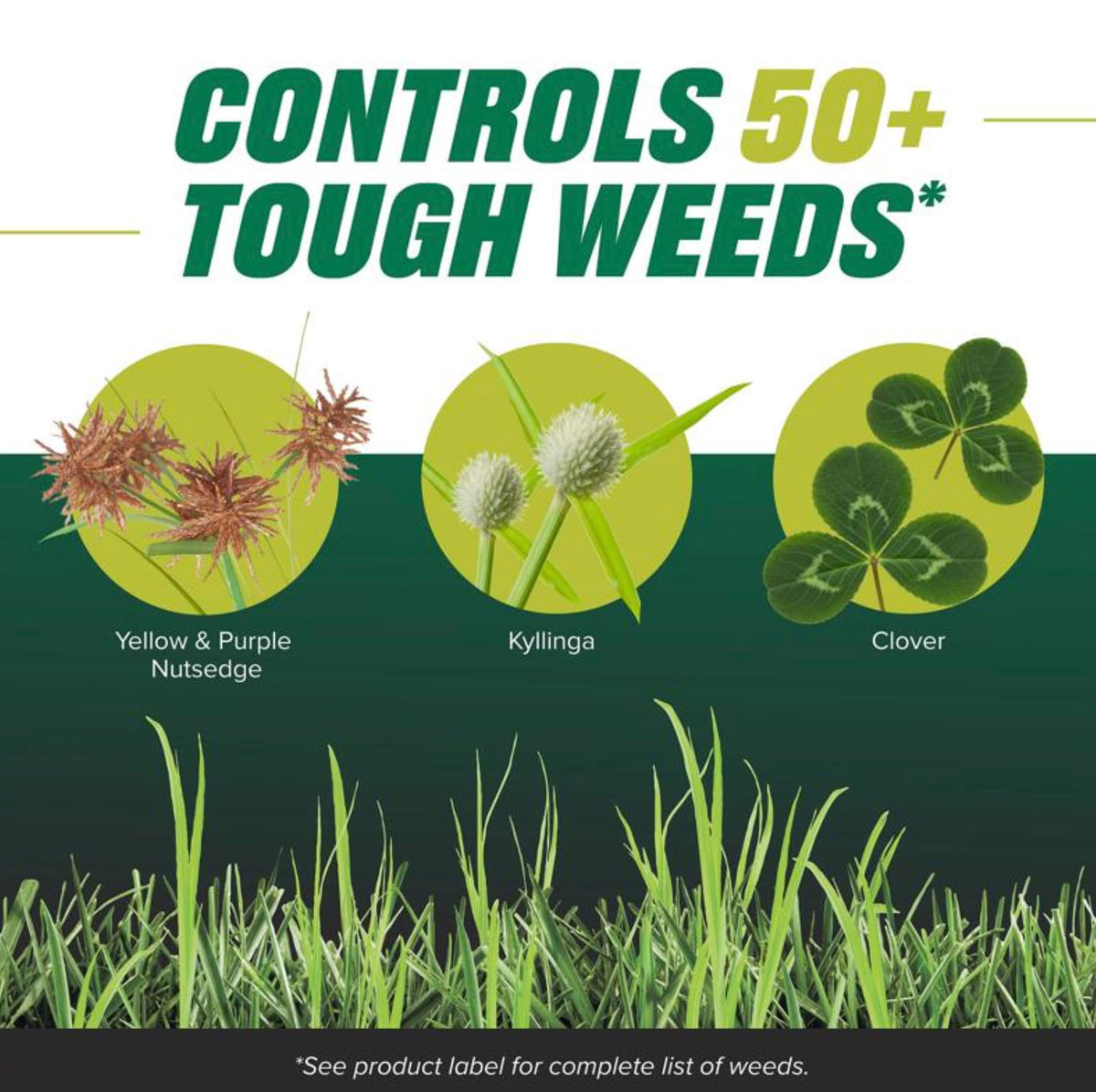 Ortho Nutsedge Killer RTU being applied to turf around weeds.