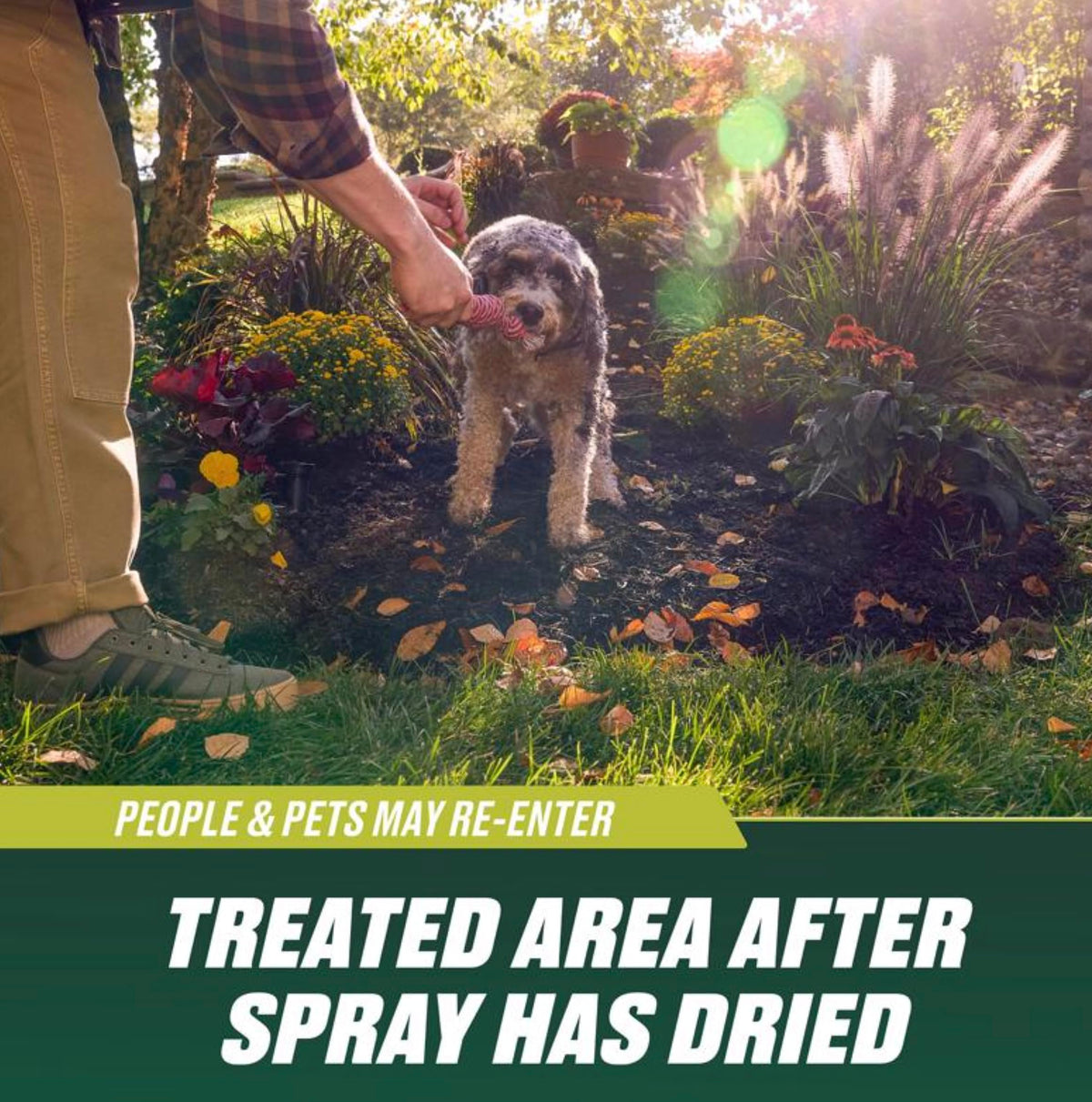 Ortho Nutsedge Killer RTU scene targeting stubborn weeds in lawn.