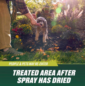 Ortho Nutsedge Killer RTU scene targeting stubborn weeds in lawn.