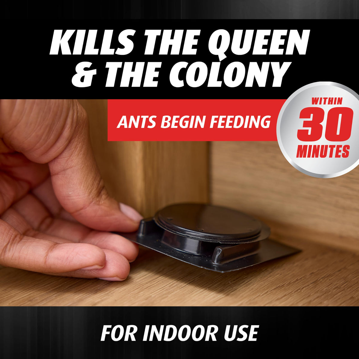 Ortho Orthene Ant Killer Bait acts at the source to kill the queen and colony.