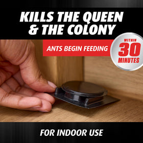 Ortho Orthene Ant Killer Bait acts at the source to kill the queen and colony.