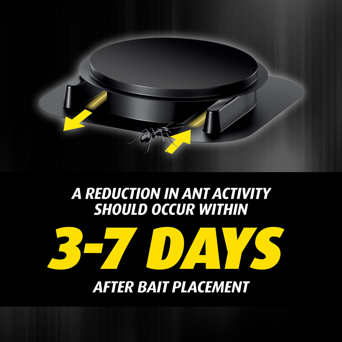 Ortho Orthene Ant Killer Bait placed at baseboards and corners to intercept ants.
