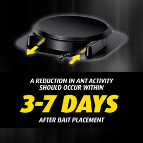 Ortho Orthene Ant Killer Bait placed at baseboards and corners to intercept ants.