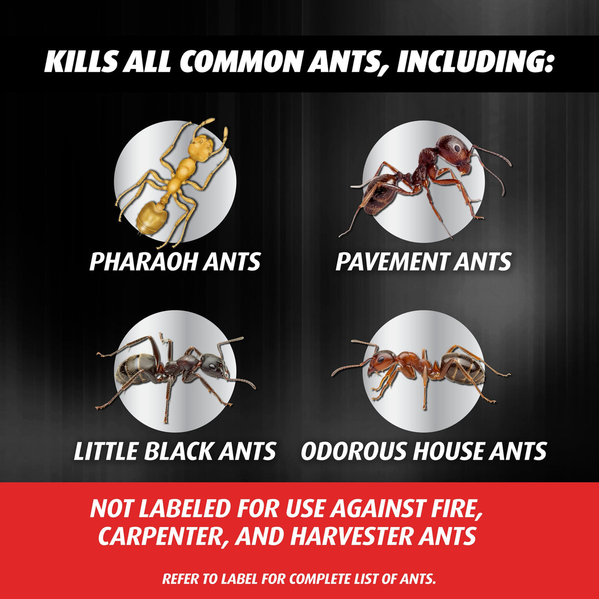 Ortho Orthene Ant Killer Bait indoor placement near pantry corners attracts foraging ants.