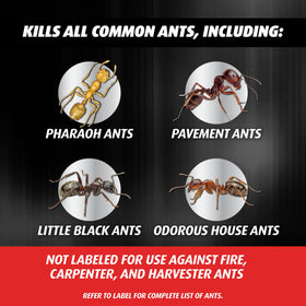 Ortho Orthene Ant Killer Bait indoor placement near pantry corners attracts foraging ants.