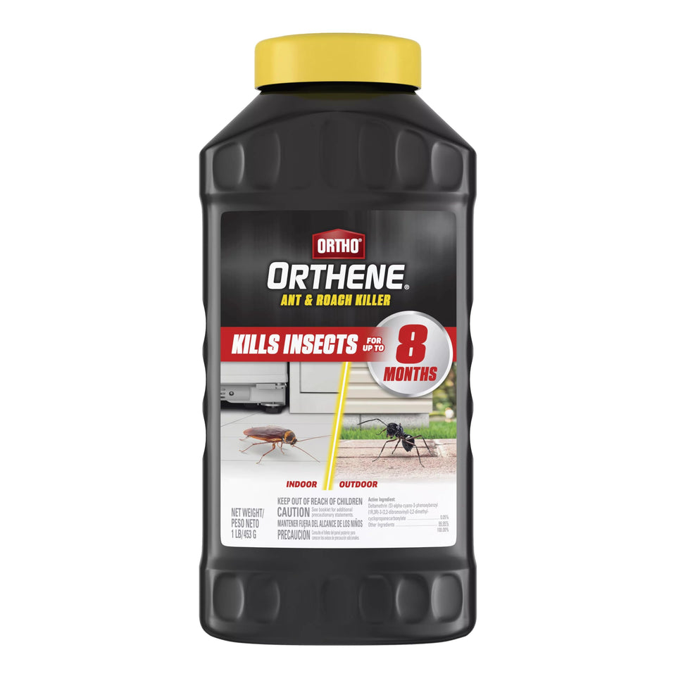 Ortho Orthene ant and roach killer powder in container for durable indoor-outdoor control