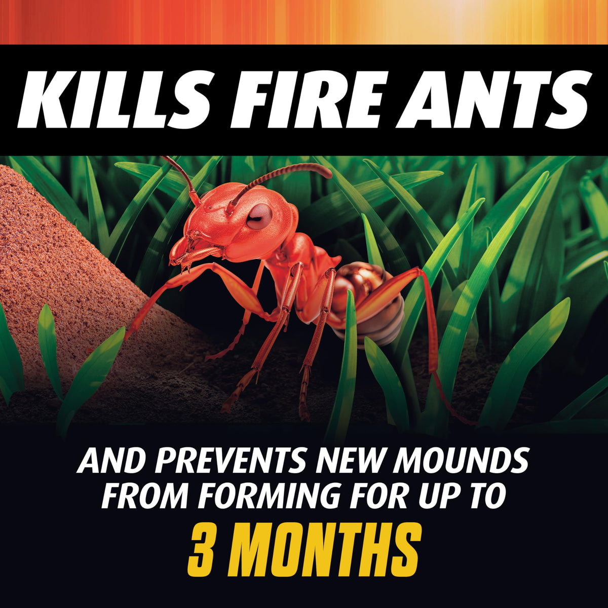 Ortho Orthene being applied to lawn for fire ant and pest control