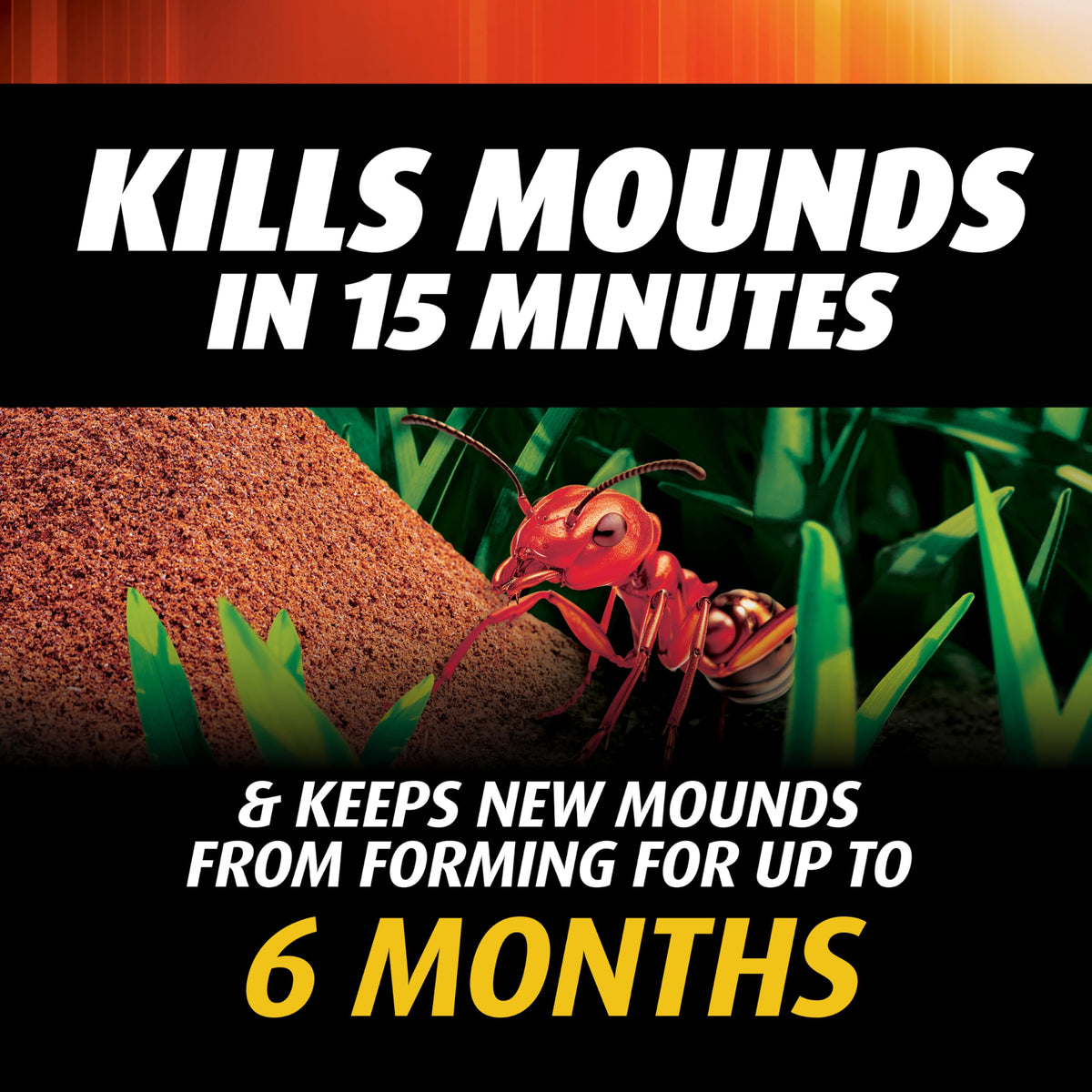 Ortho Orthene granules spread evenly with a Scotts spreader for uniform coverage.