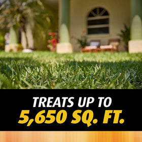 Apply in morning or evening when ants are active for best results.