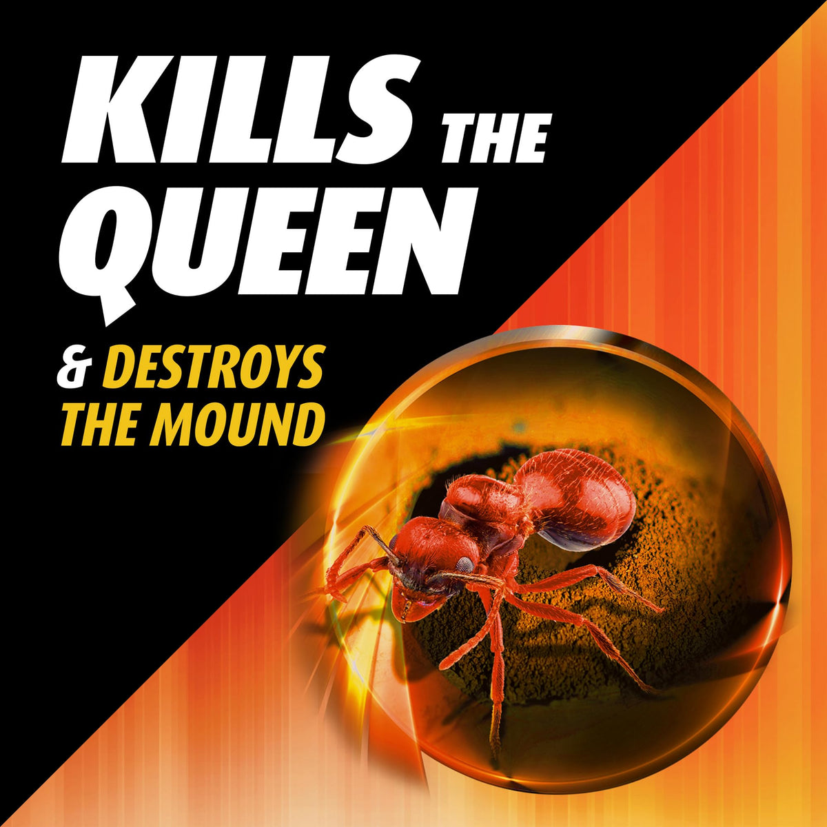 Ortho Orthene Fire Ant Killer1 targets the colony to address the source of ants.