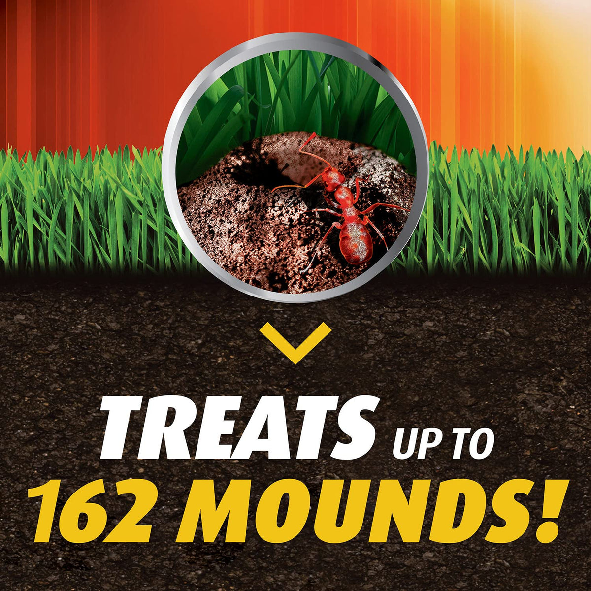 Ortho product kills the queen to disrupt the colony.