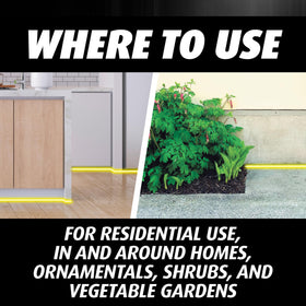 Ortho Orthene applied near ornamentals helps protect plants and flowers