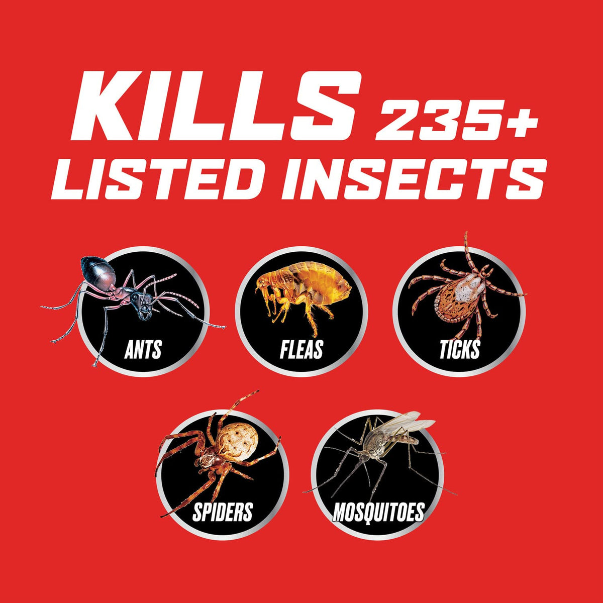 Ortho Outdoor Insect Killer Concentrate perimeter barrier visual for 3 months