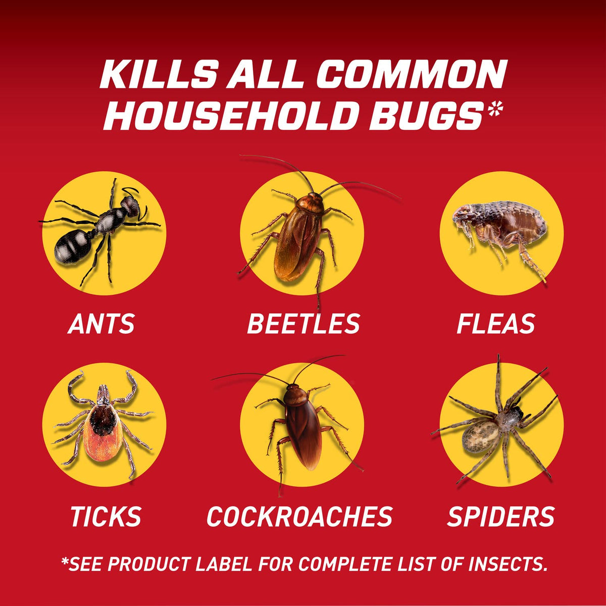 Ortho Home Defense outdoor perimeter spray around foundation and doors.