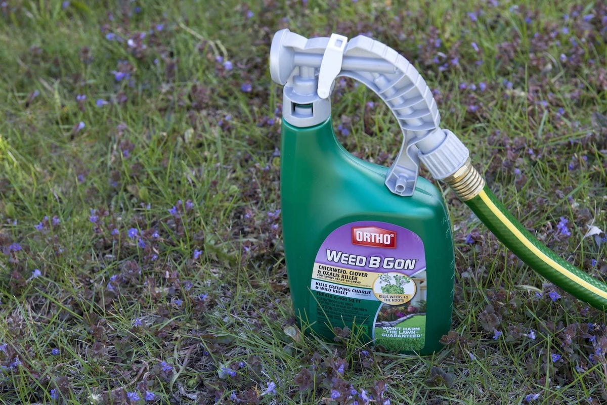 Ortho Weed B Gon lawn treatment applied with spray to target weeds