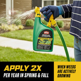 Ortho WeedClear targets clover and chickweed for a cleaner lawn.