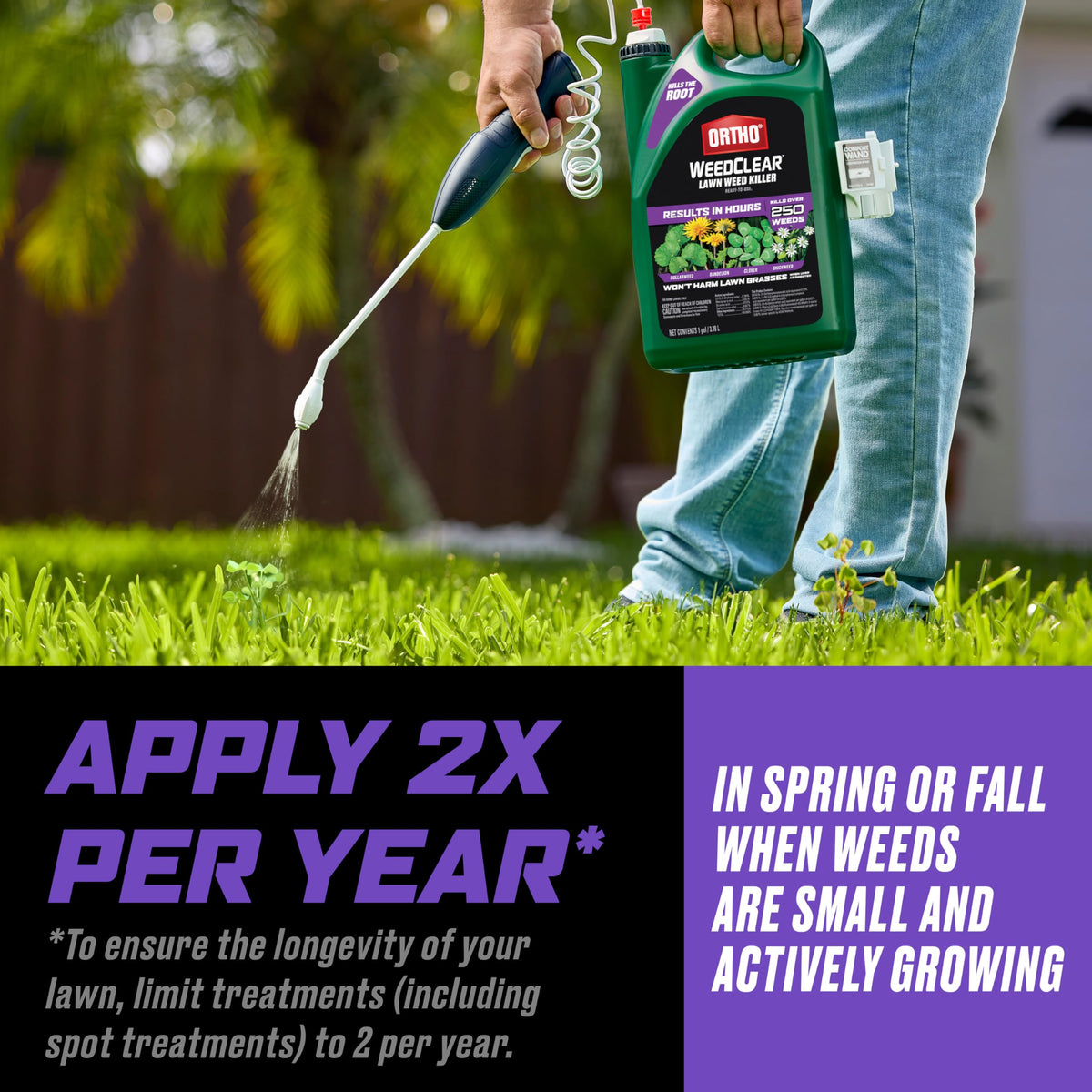 Clover weed treated on a Southern lawn with Ortho WeedClear.