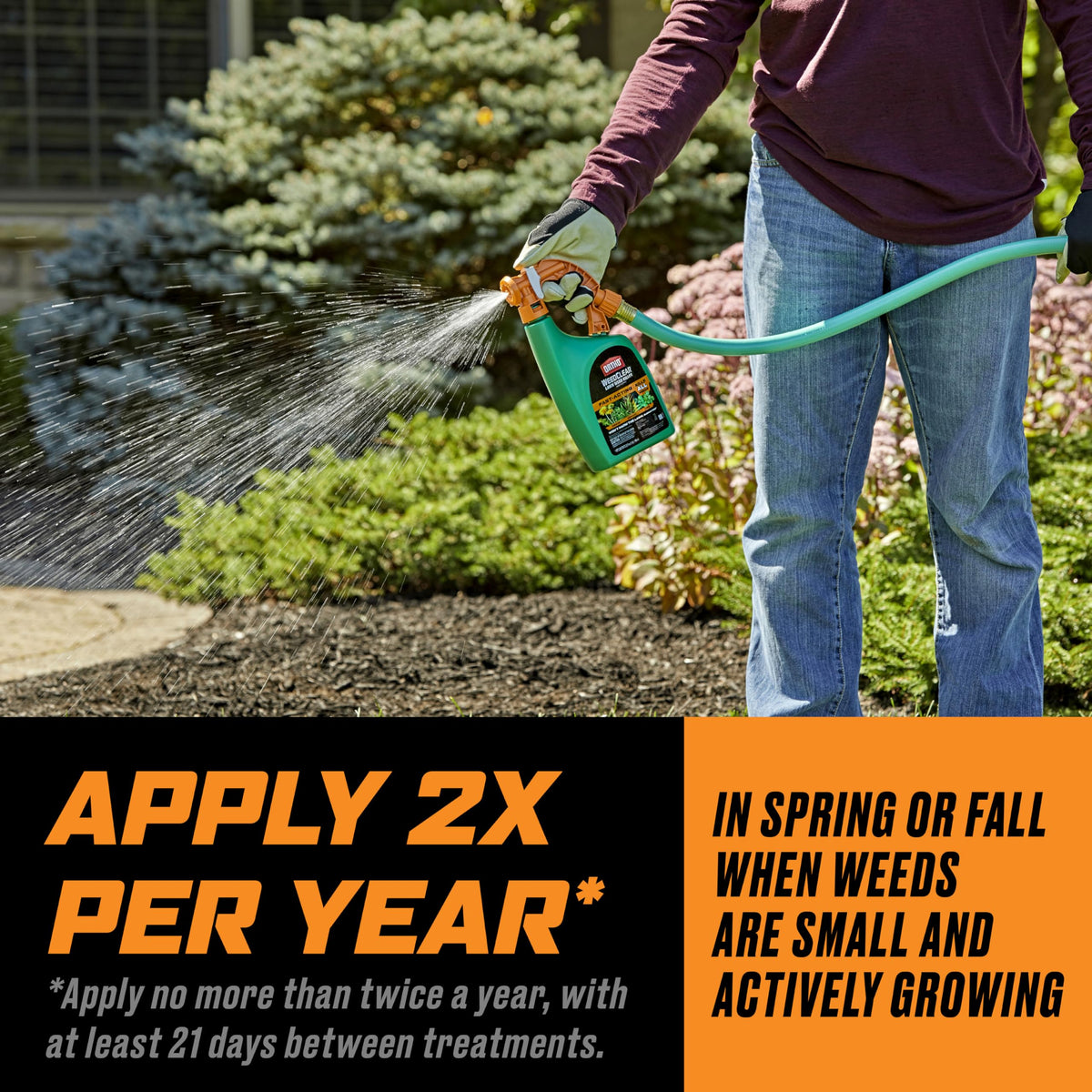 Ortho WeedClear clover control helps restore uniform lawn color.