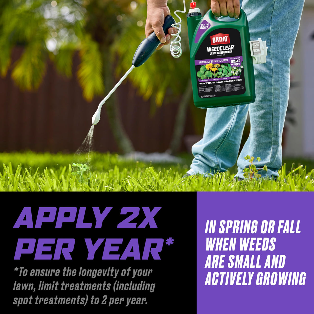 Ortho WeedClear targets clover for lawn weed control in southern lawns.